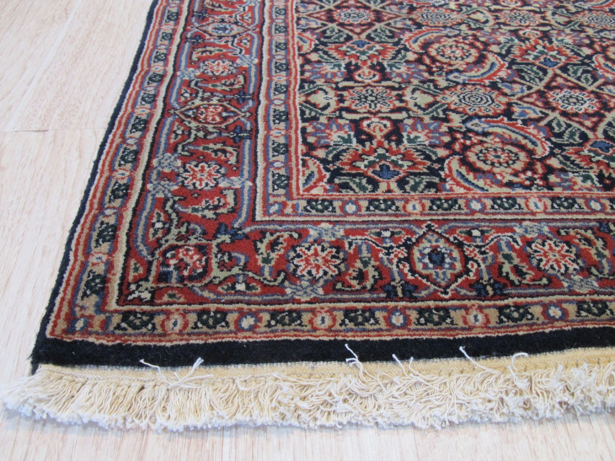 Sleek Oriental Navy Hand Knotted Wool Rug anchors a bright, modern living room; intricate navy and beige patterns on hand-knotted wool provide a luxurious and subtly textured foundation beneath contemporary furniture.