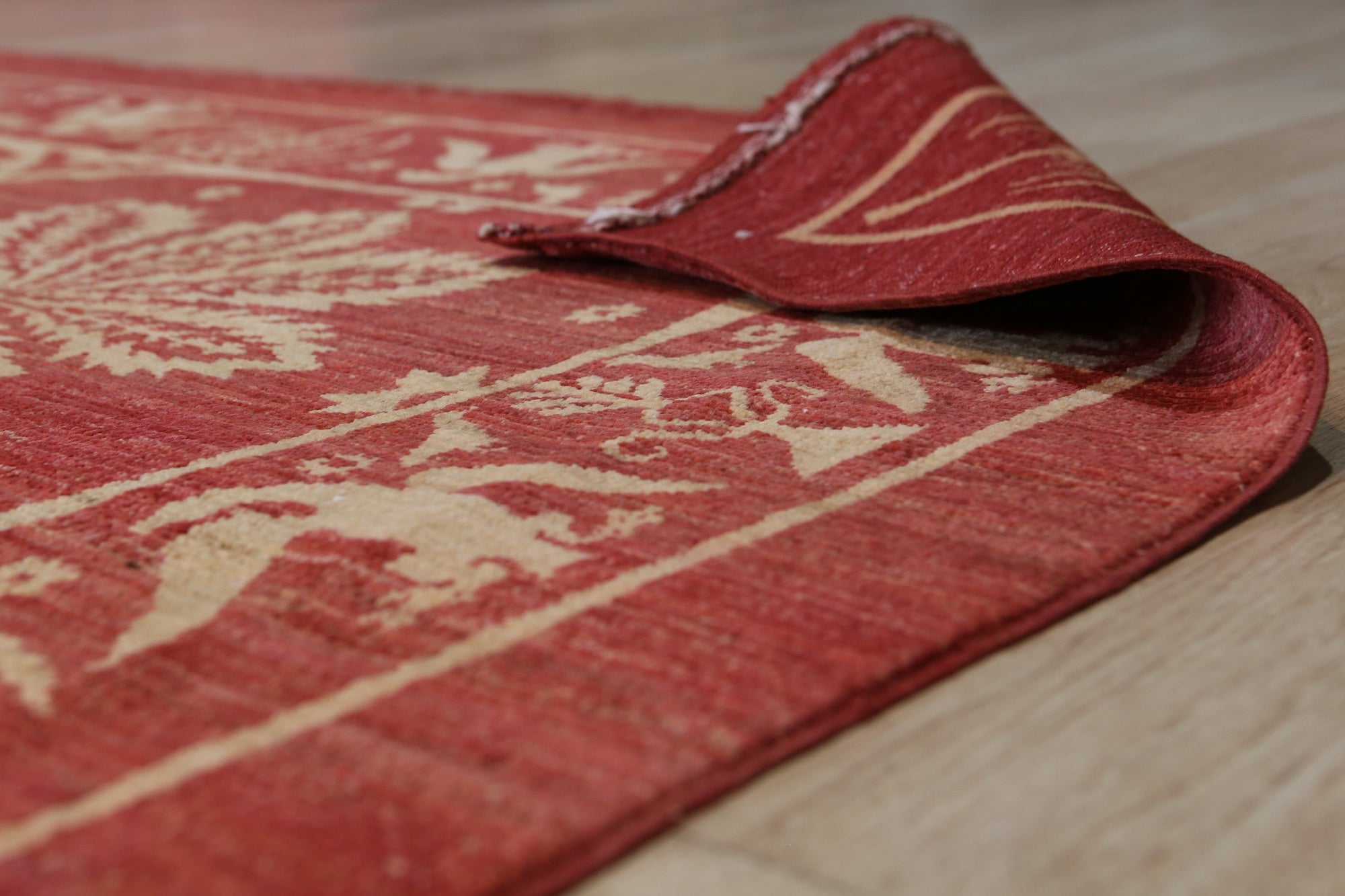 Majestic Artisan Red Hand Knotted Afghan Wool Rug, vibrant red and intricately patterned, lays elegantly within a well-lit interior, showcasing its luxurious texture and handcrafted detail.