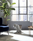 Warm Bespoke Beige Hand Tufted Wool Rug