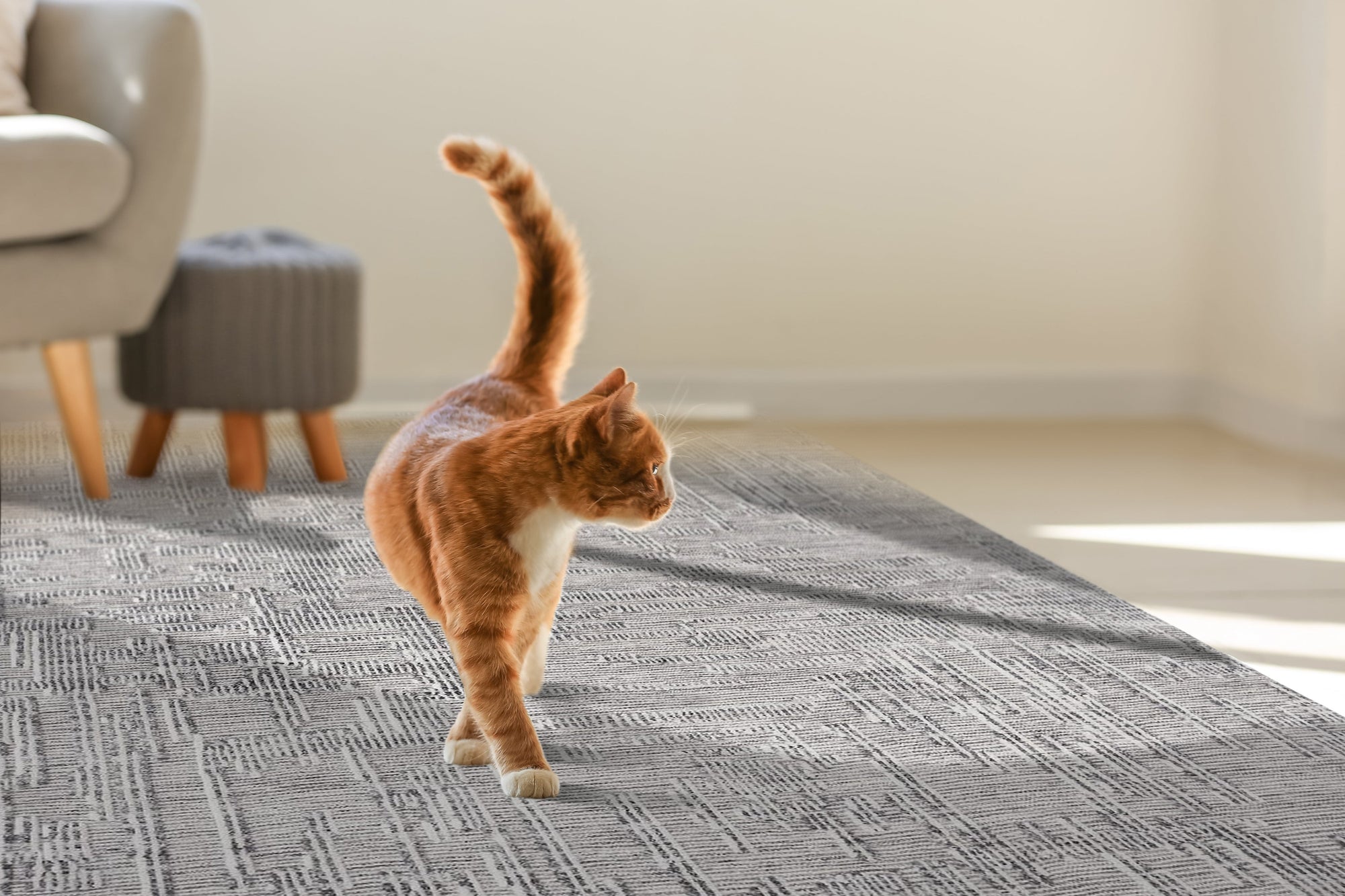 Lush Xena Ivory Handmade Wool Rug, softening a living room with its plush pile; ivory tones and subtle textures create a calming, inviting atmosphere.