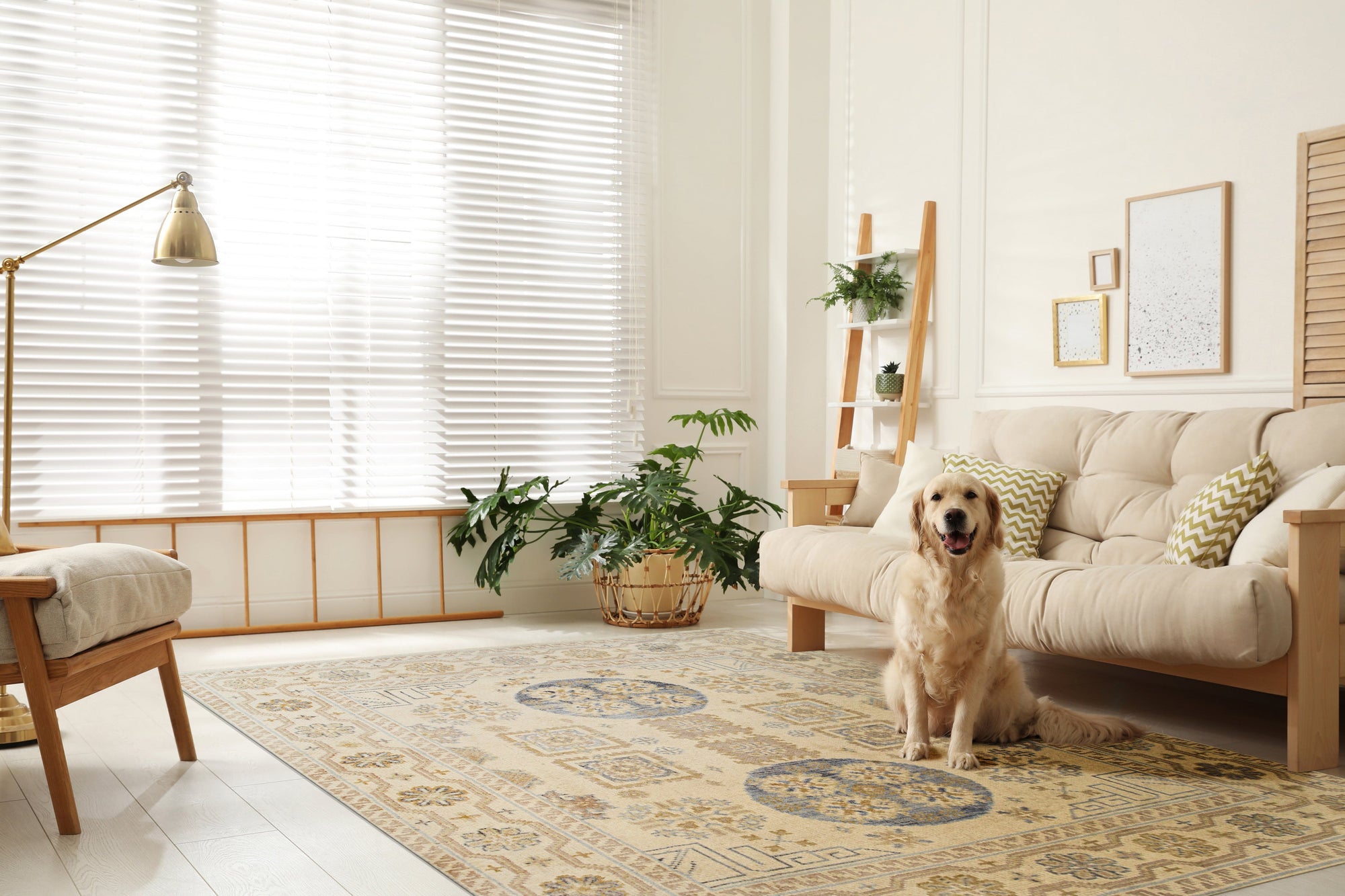 Ava Sophie Beige Hand Knotted Wool Rug, its subtle beige tones and intricate hand-knotted details softening a modern living space.