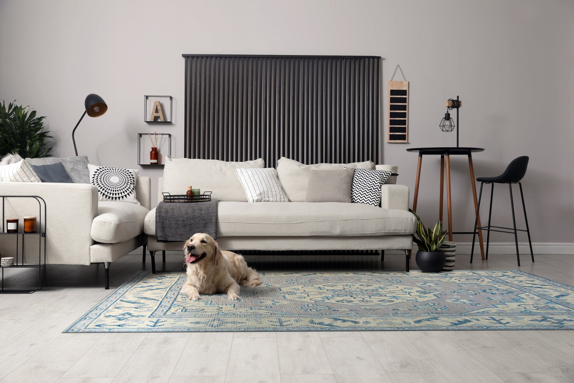 Iris Bianca Gray Hand Knotted Wool Rug, a hand-knotted wool rug in soft gray tones, displayed in a bright living room setting with contemporary furniture.
