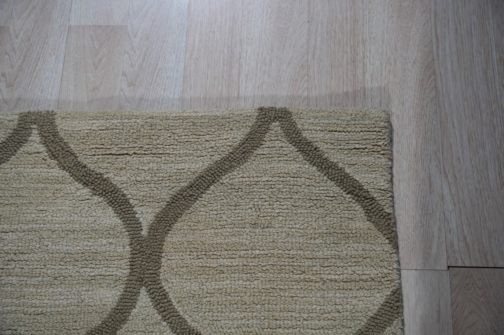 Zinnia Clara Light Gold Hand Tufted Wool Rug gracing a warmly lit living room. Soft light gold hues and textured hand-tufted wool create a cozy, inviting atmosphere.