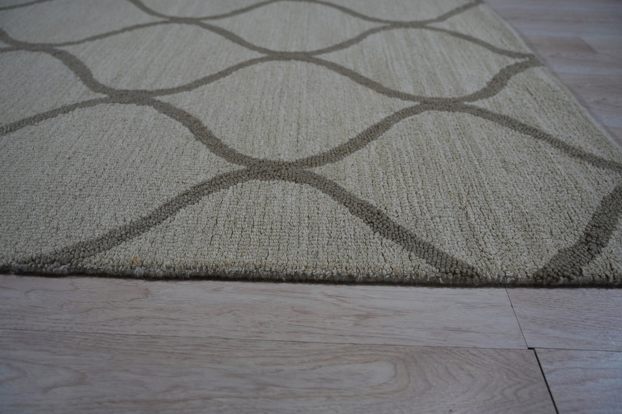 Zinnia Clara Light Gold Hand Tufted Wool Rug, its subtle gold hues radiating warmth within a softly lit space.