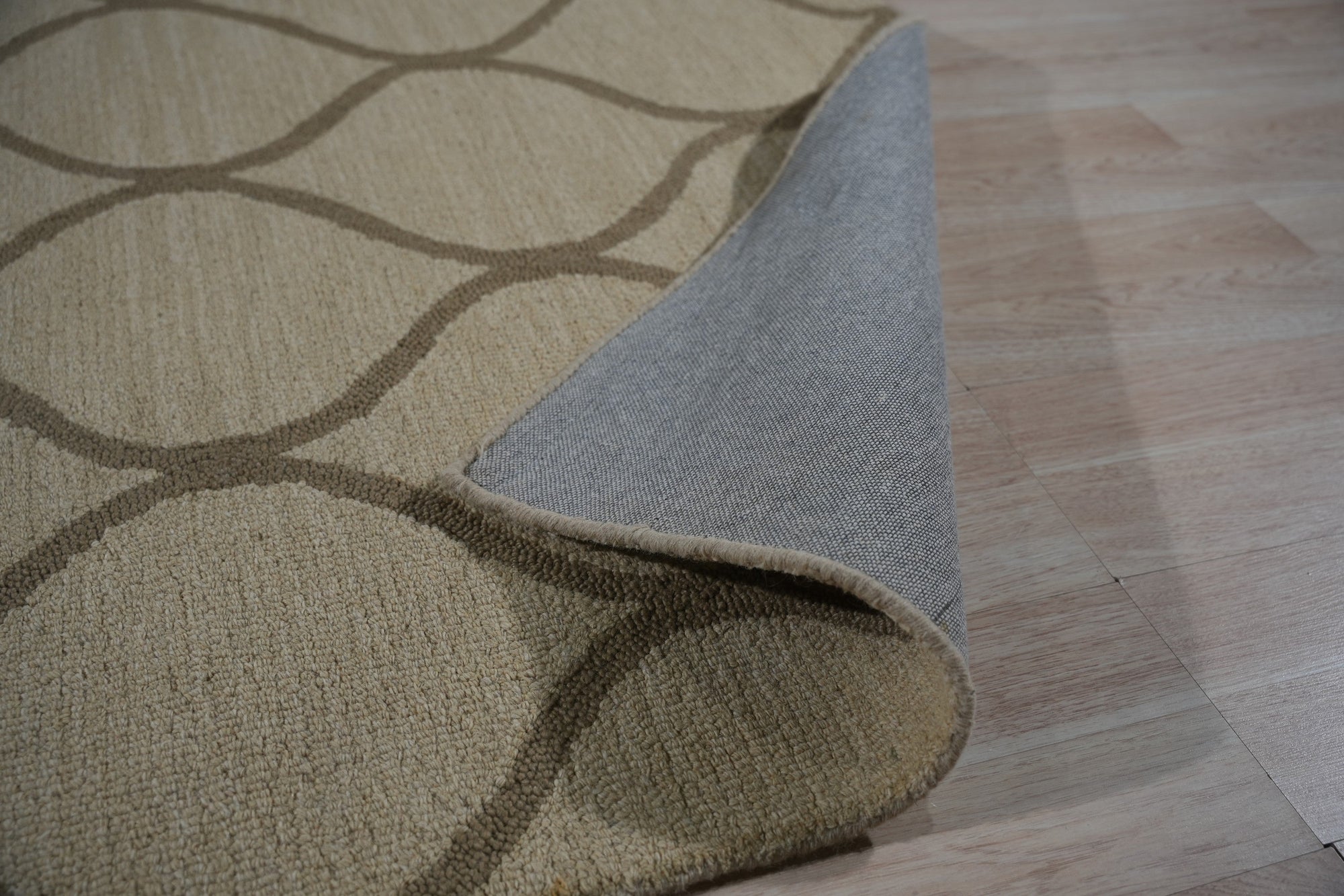 Zinnia Clara Light Gold Hand Tufted Wool Rug, its soft golden hues and plush wool texture grounding a warmly lit living room, accented by contemporary furniture.