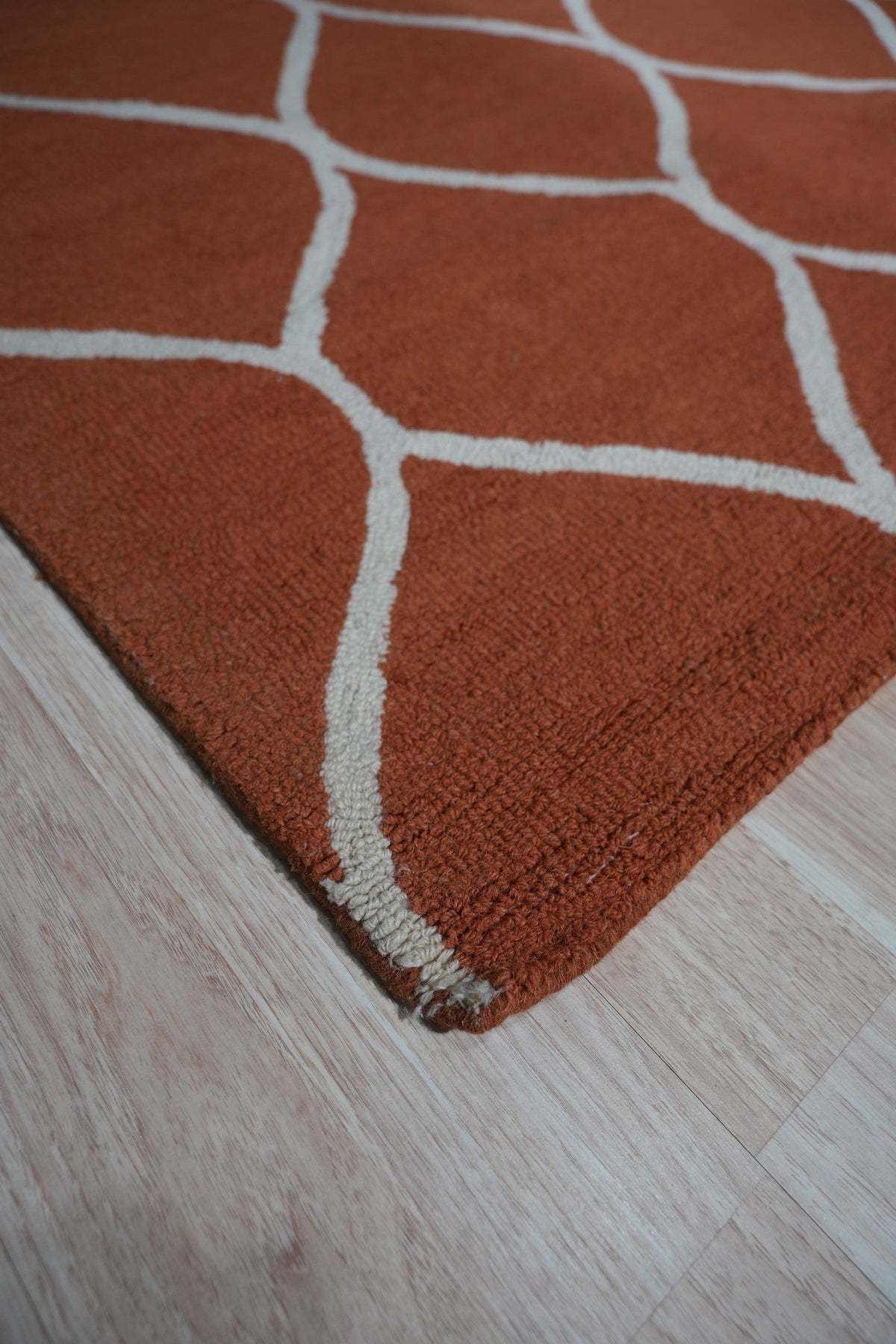 Maya Rustic Orange Hand Tufted Wool Rug, a vibrant blend of orange tones woven into a hand-tufted wool texture, lending warmth and rustic charm to a modern living space.