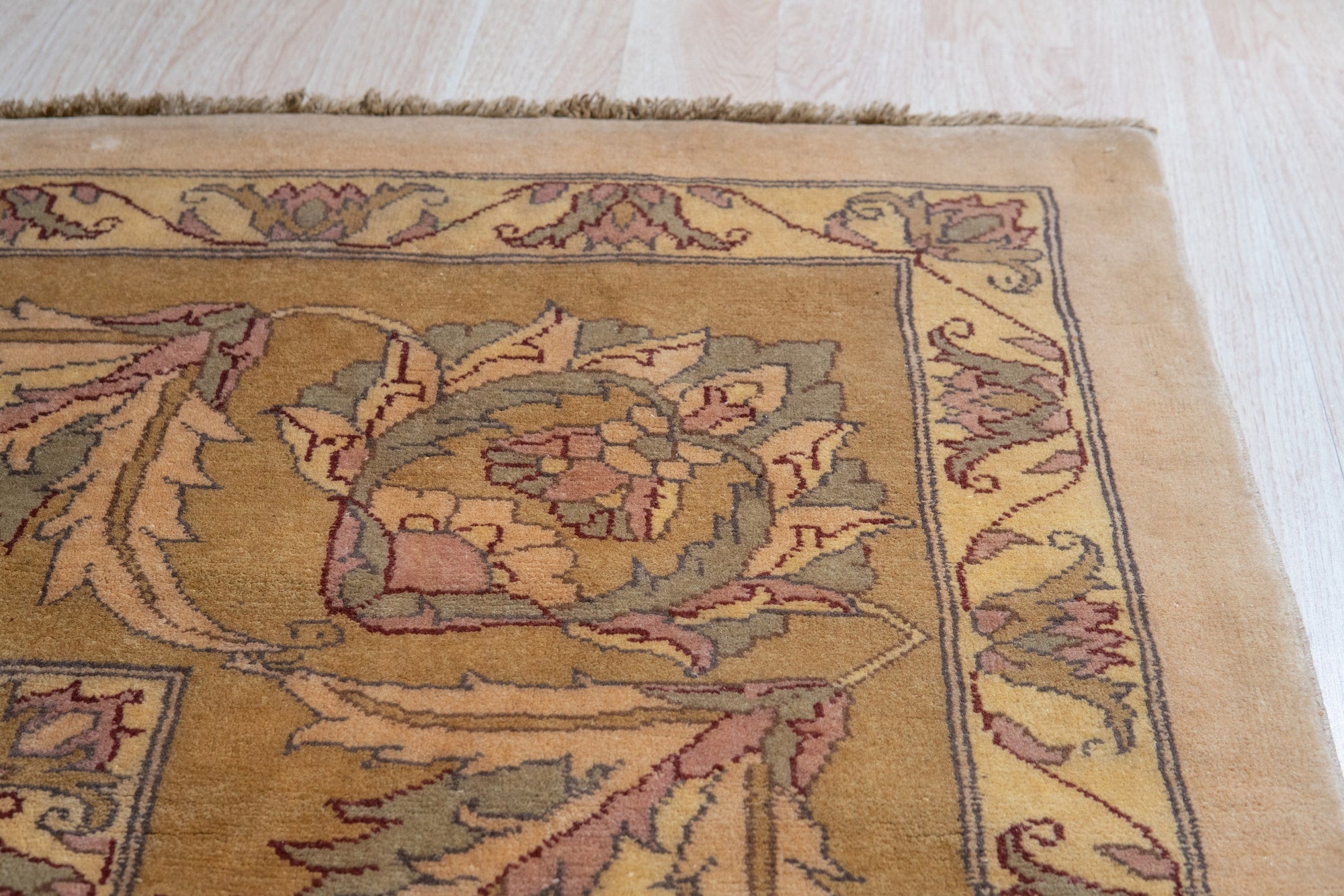 Vibrant Agra Beige Hand Knotted Wool Rug, its intricate pattern and warm beige hues softening a brightly lit living space, hinting at comfortable elegance. Hand-knotted construction is evident in its textured surface.