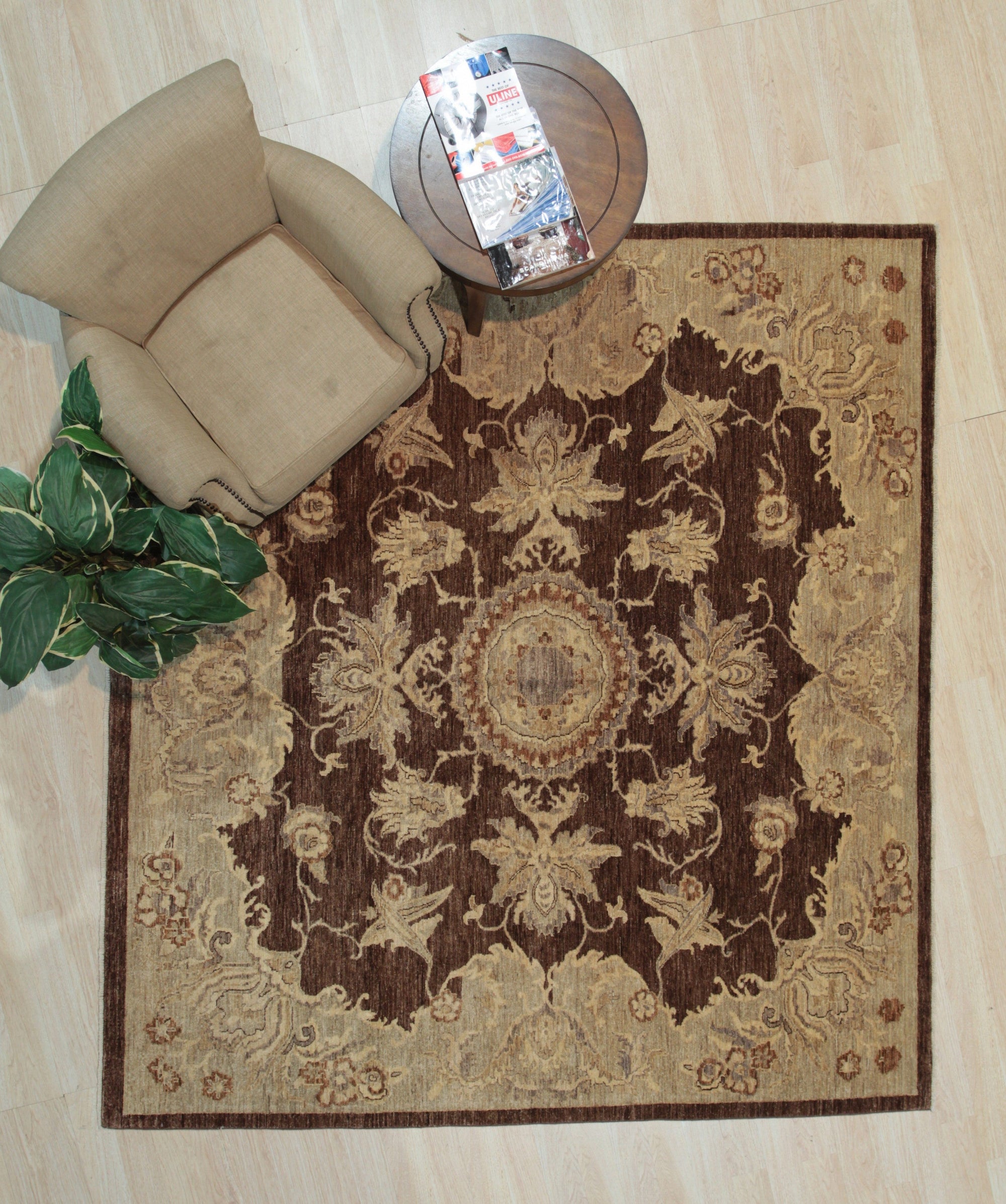Chic Agra Brown Hand Knotted Wool Rug displayed in a well-lit living space. Woven with brown wool, this hand-knotted rug features an intricate, traditional Agra design, grounding a comfortable seating area.