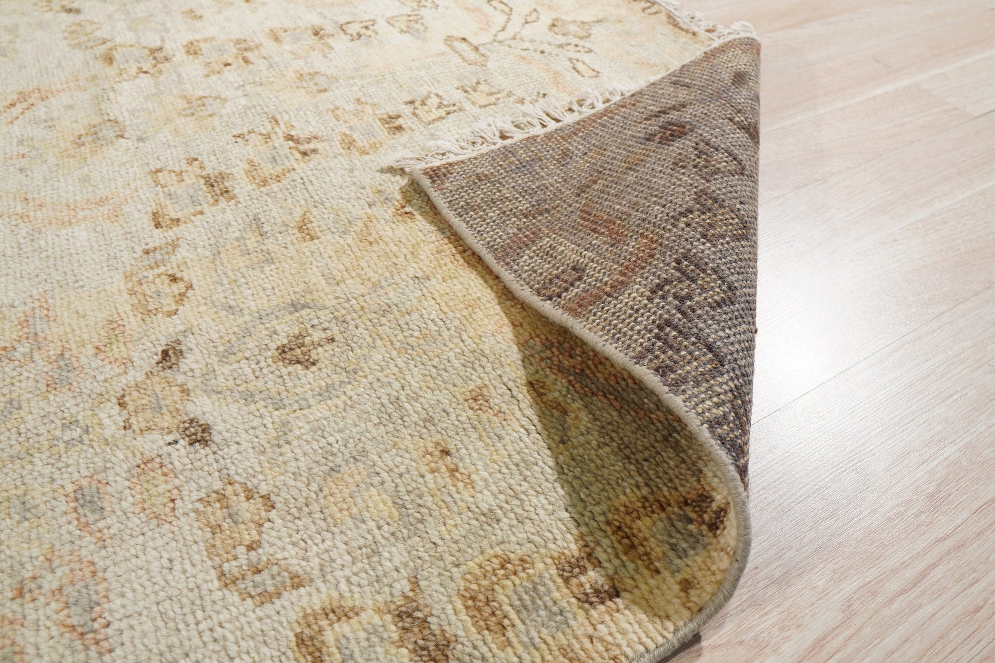 Nina Luxurious Ivory Hand Knotted Wool Rug, its intricate texture and soft ivory hues adding warmth to a sunlit living room with mid-century modern furniture and a vibrant green houseplant.