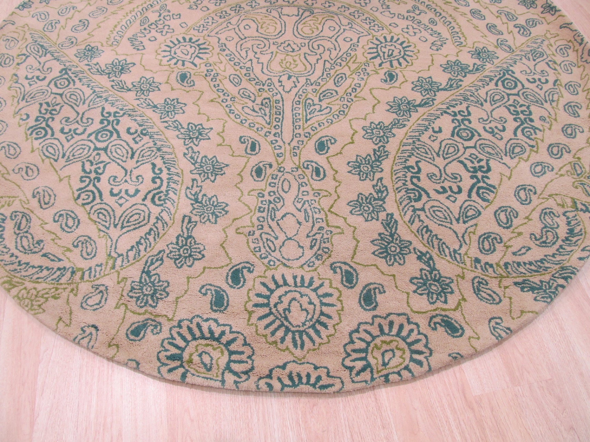 Beautiful Alluring Green Hand Tufted Wool Rug, its vibrant green hues and plush, hand-tufted wool creating a luxurious and inviting texture, complementing a modern living space.
