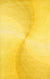 Isolated view of Brenda Chic Yellow Hand Tufted Wool Rug, showcasing its design.