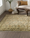 Handmade Wool Ivory Transitional All Over Ningxia  Rug, Made in India - additional view