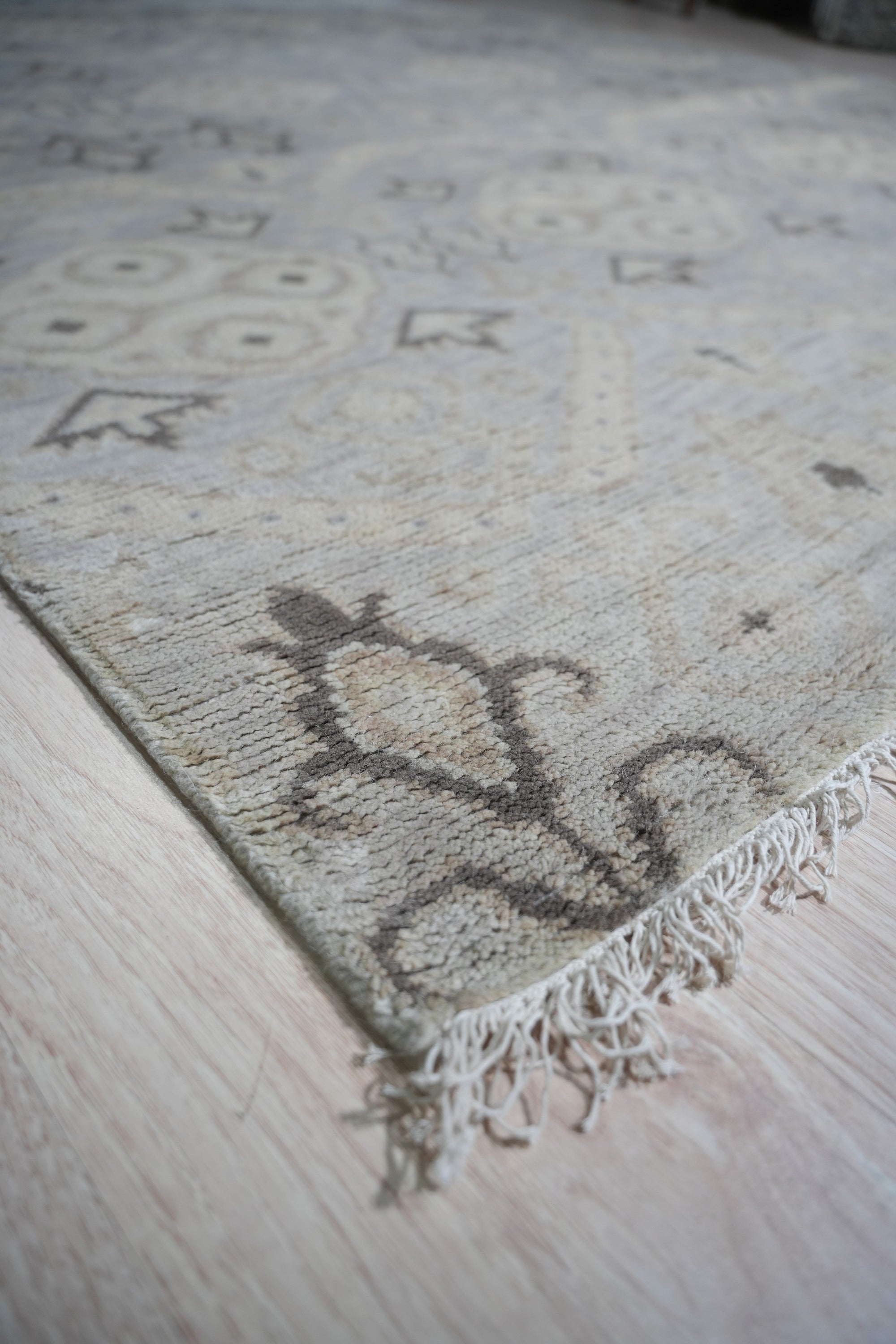 Ellara Hand-Knotted Traditional Wool Rug