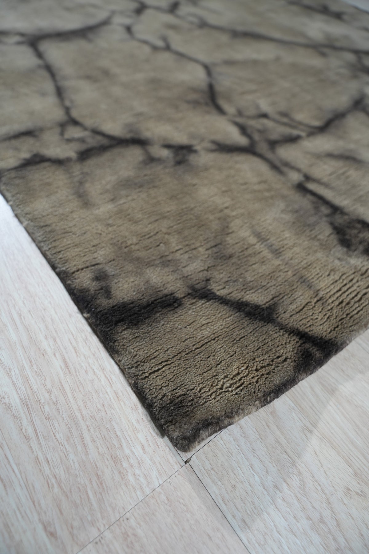 Dip Dyed Transitional Rug