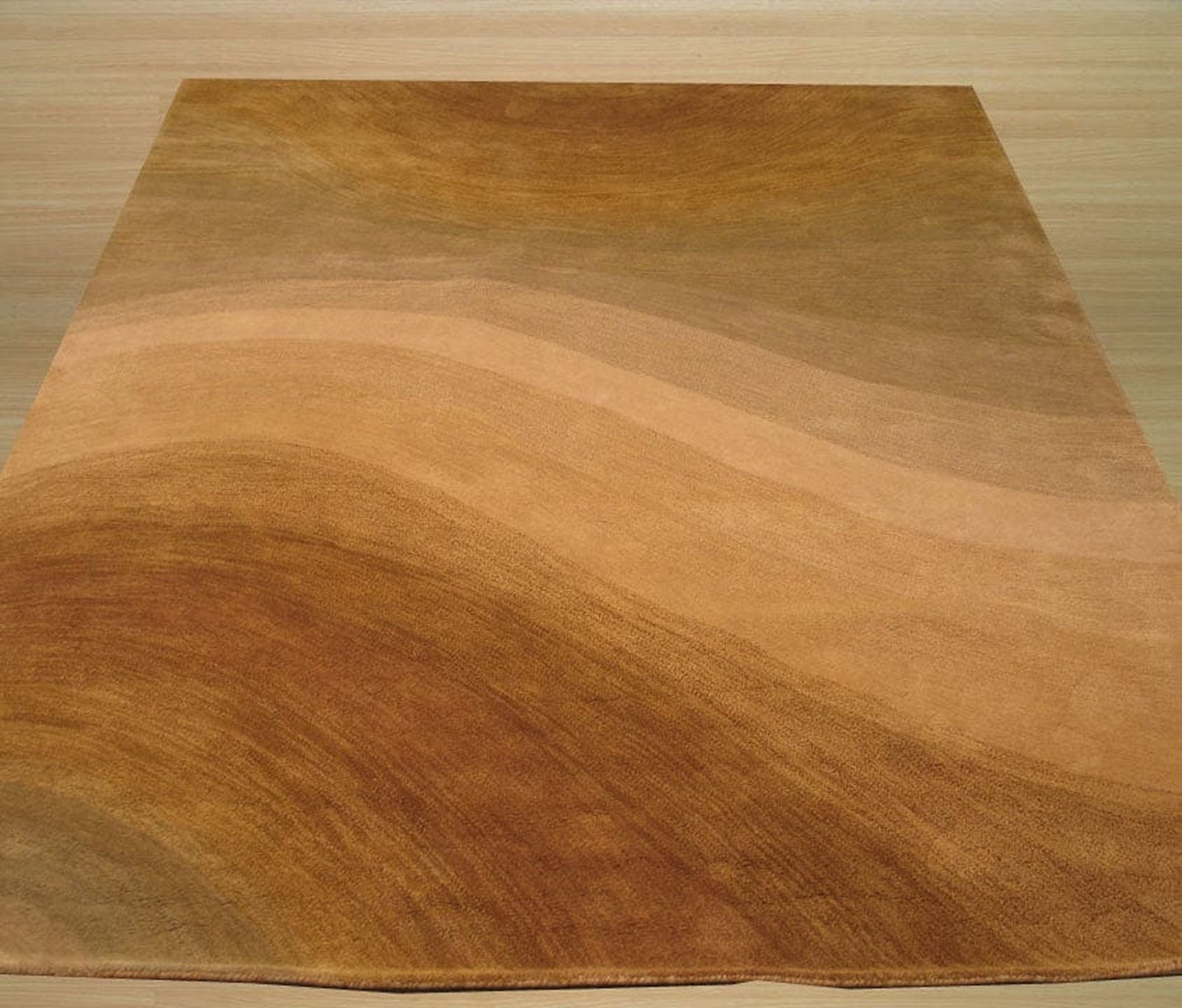 Contemporary Abstract Desertland Rug