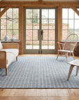Delicate Giselle Gray Handmade Wool Rug in a sunroom