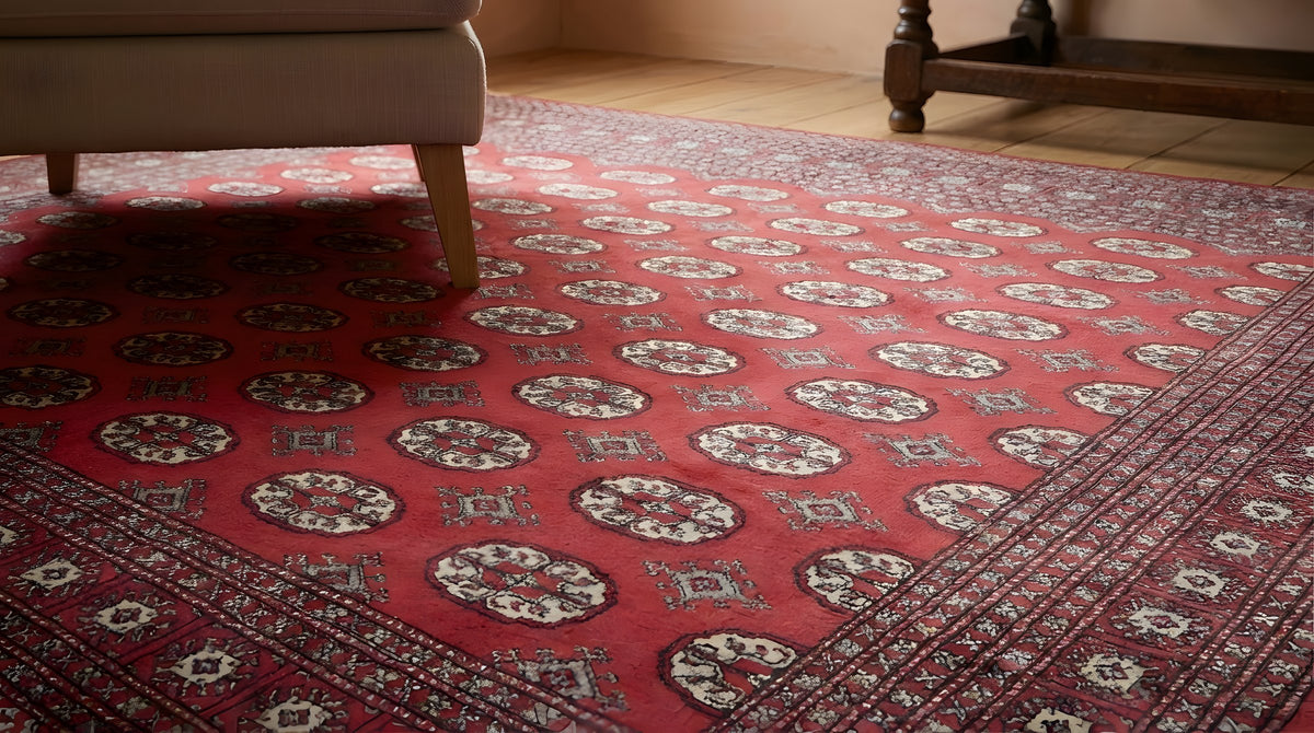 Rustic Nina Red Hand Knotted Wool Rug in a reading nook